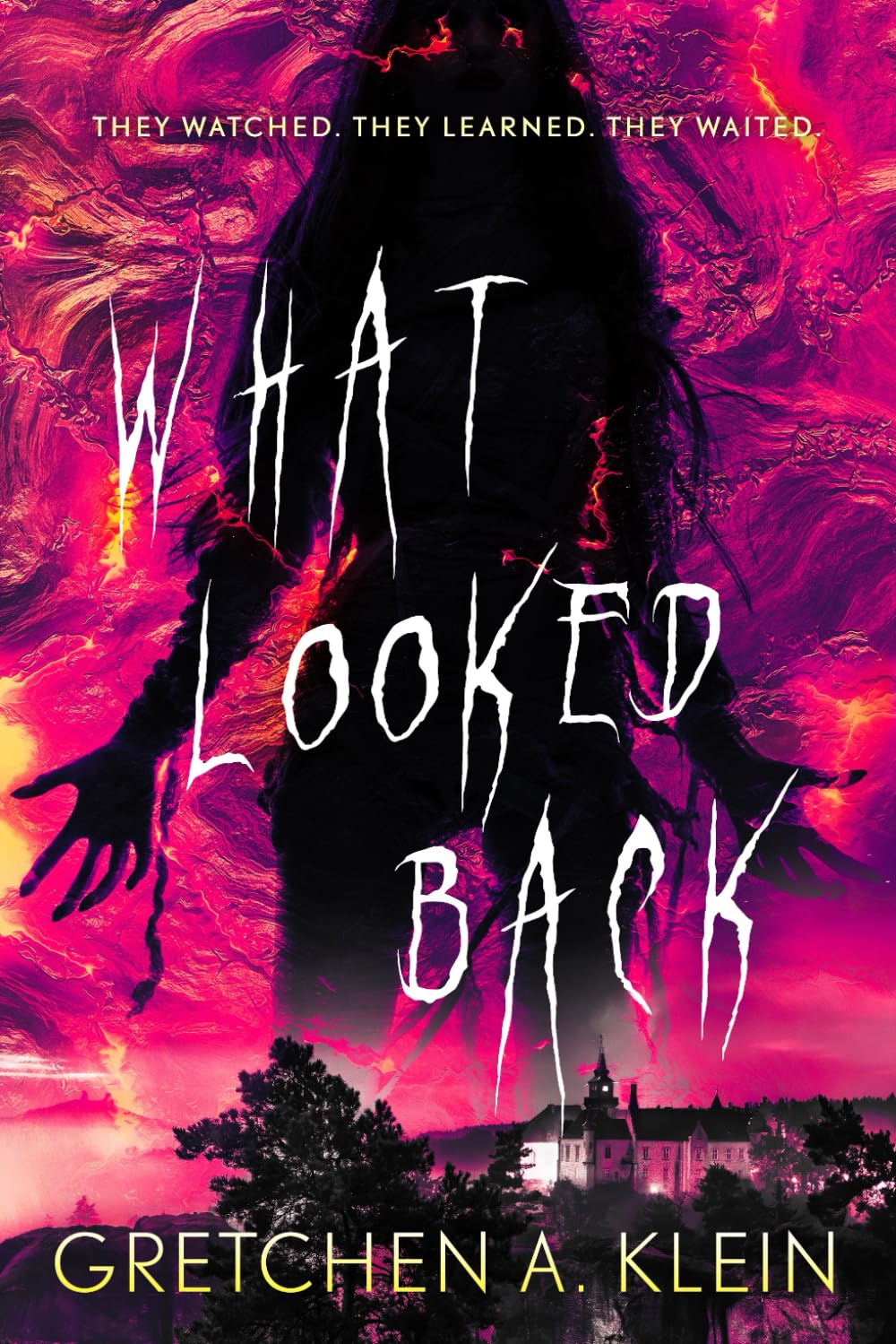 WHAT LOOKED BACK: A SUPERNATURAL THRILLER
