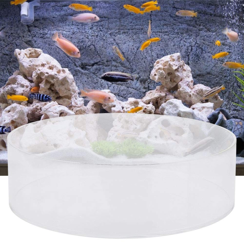 Visor De Coral Acrílico Transparente Pecera Lente De Observación De Coral Peces De Acuario Fotografía Cilindro Lupa Accesorio Para Pecera Para Ver Corales Y Tomar Fotografías(200mm)