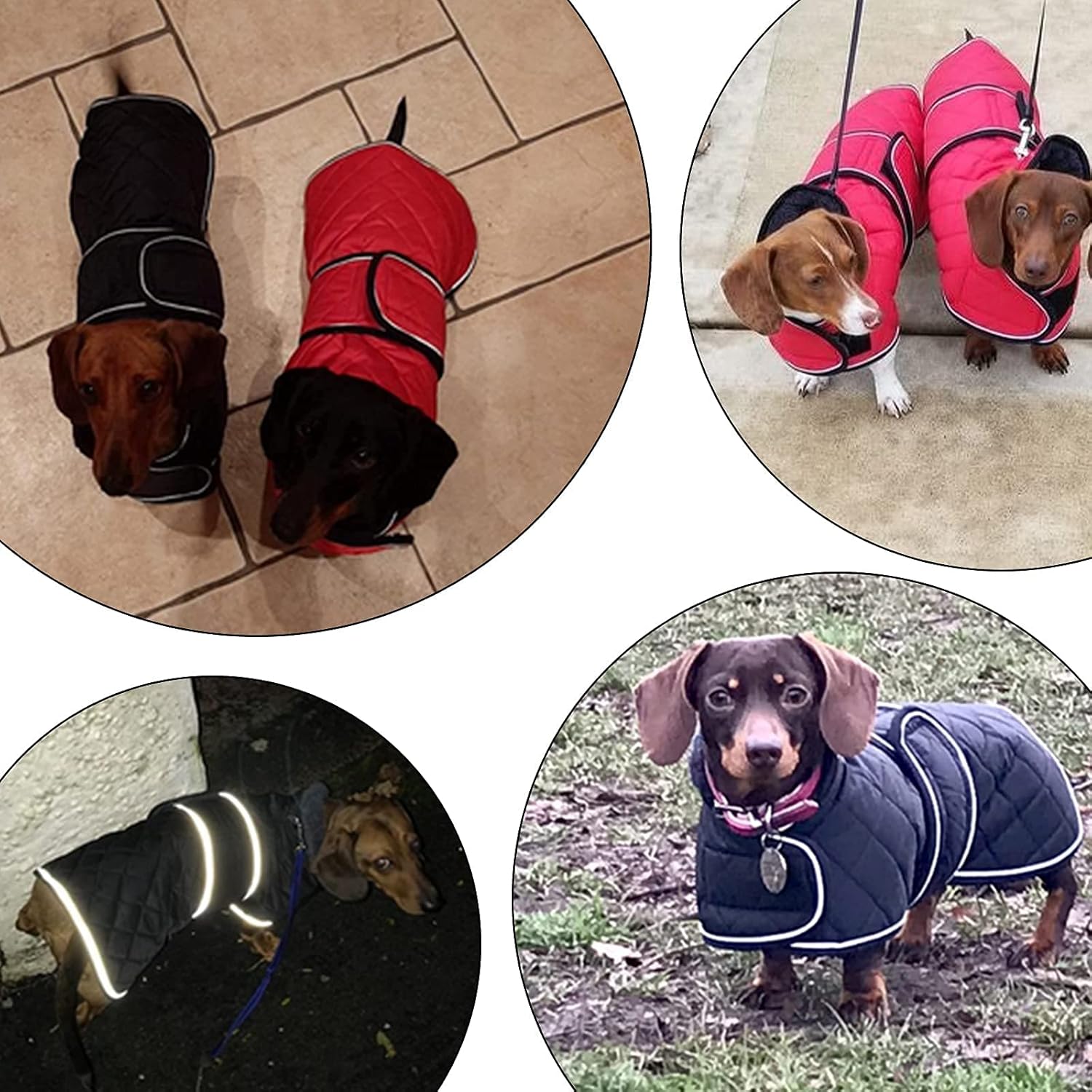Morezi Dachshund Coat, Dachshund Coat, Dog Winter Coat with Padded Fleece Lining, Dog Outerwear with Adjustable Bands - Black - S - Image 5