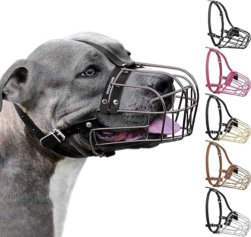 BRONZEDOG Pitbull - Bozal para perro, máscara de metal, cesta de alambre Amstaff, correas de cuero ajustables para perros grandes (metal grafito)