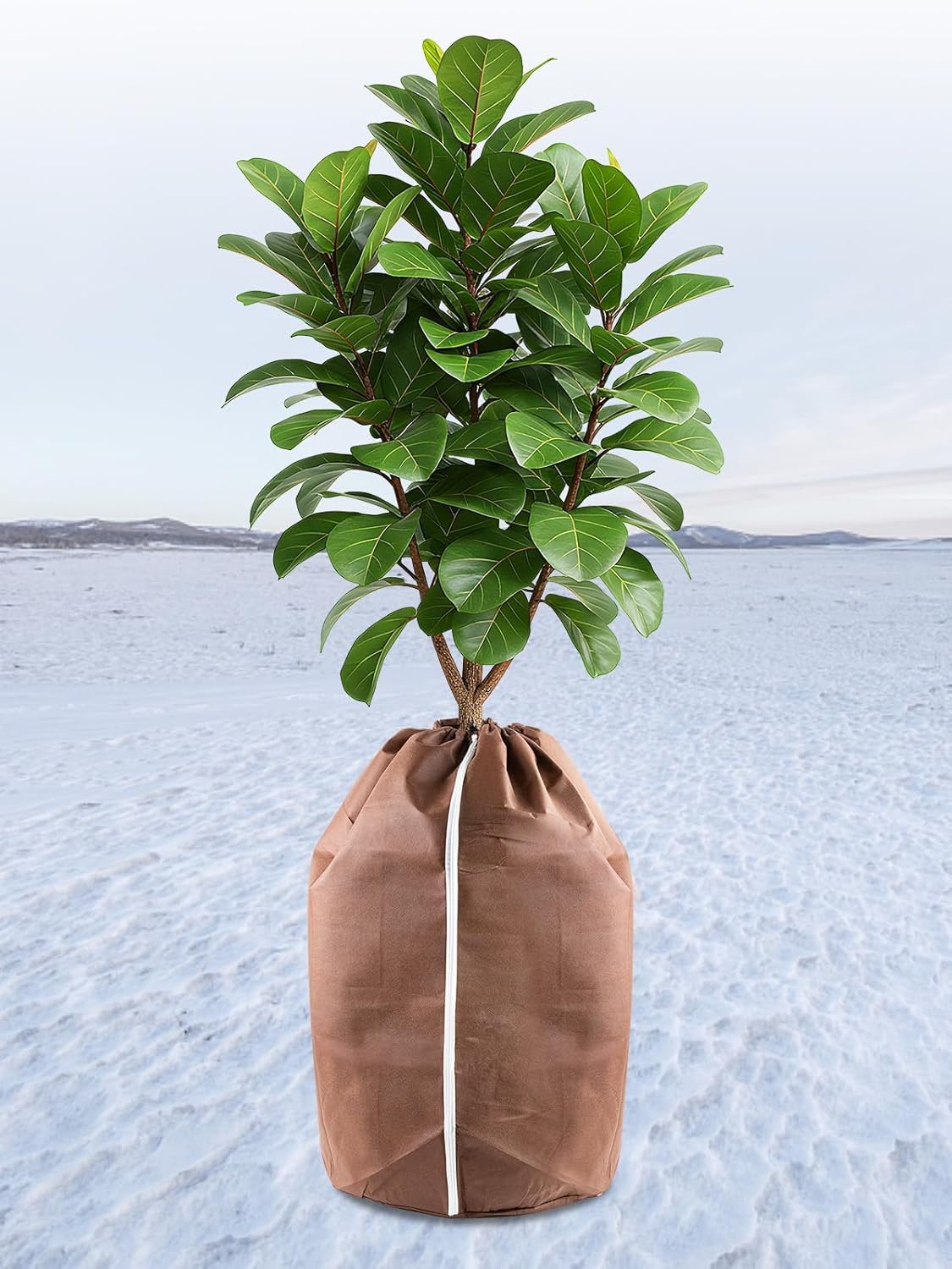 Landrip Thermo Topfschutz für Pflanzen in Aussenbereichen (45X50 cm), Winterschutz für kübelpflanzen, Topfschutz mit Zugband, Frost Schutz für Pflanzkübel Pflanztöpfe für Pflanzen - Amazon product rated Grade B