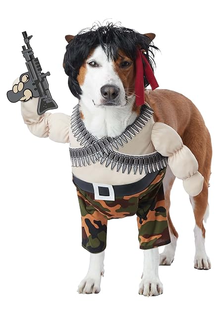 Disfraz de héroe de acción para Mascotas, pequeño, Multicolor