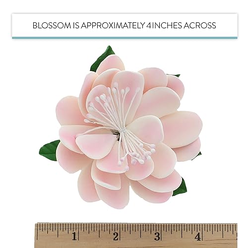 Miniatura 6 de Global Sugar Art Protea - Flores para pastel de azúcar, color rosa medio, 3 unidades por el chef Alan Tetreault