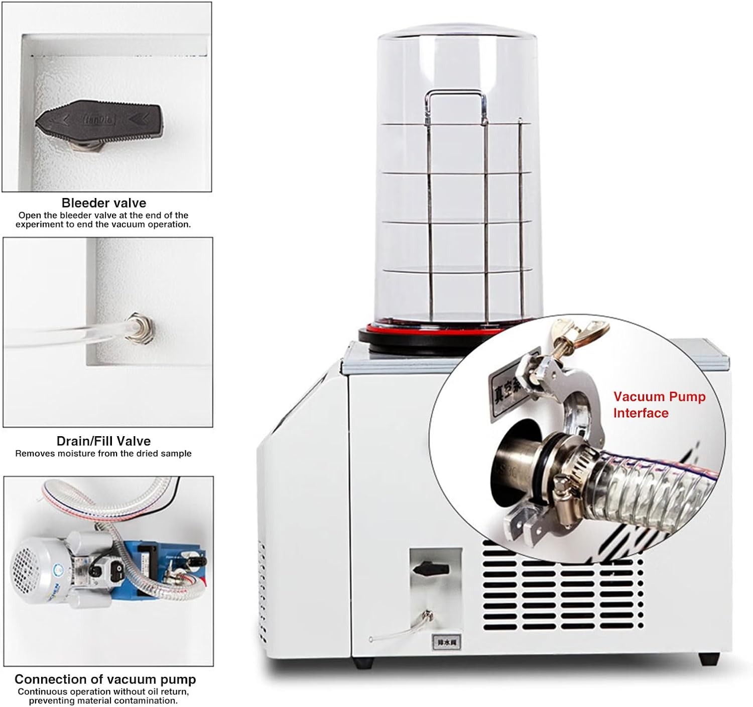 Laboratory Freeze Dryer Machine Table Tope Freeze Dryer for Food Vegetable Vacuum Freeze Drying Machine Food Dryer Fruit (10N-60A)