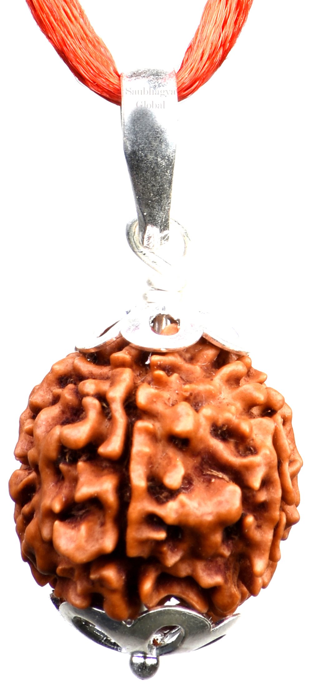 6/ Six Mukhi Rudraksh in Silver Pendent Lab Certified, Sinks in Water for All Rashis