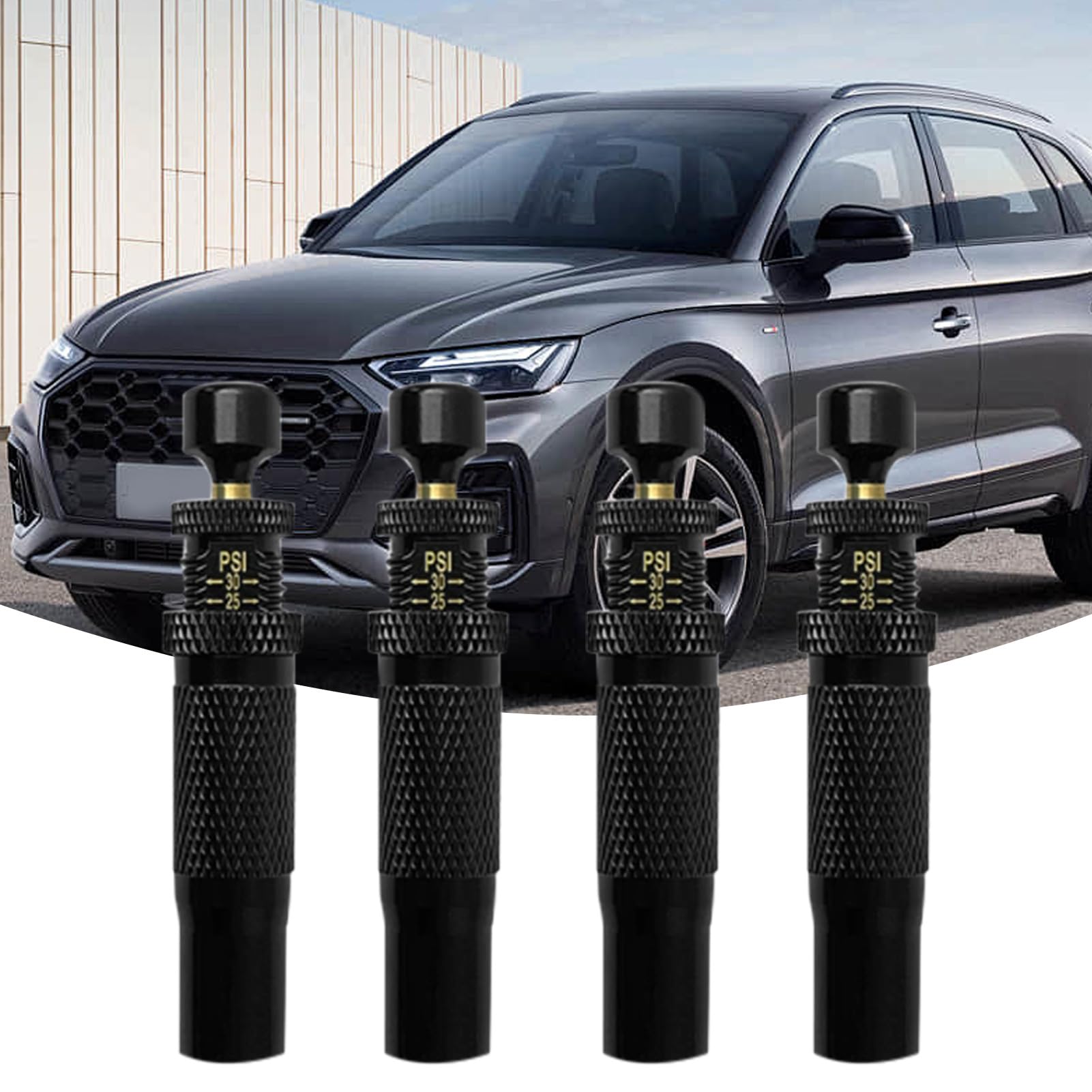 Tire Deflator Valve, Portable Tyre Deflator For, Trucks, RVs, Motorcycles, Automotive Air Down Tool, Quick And Accurate Tire Pressure Release For And Road Use