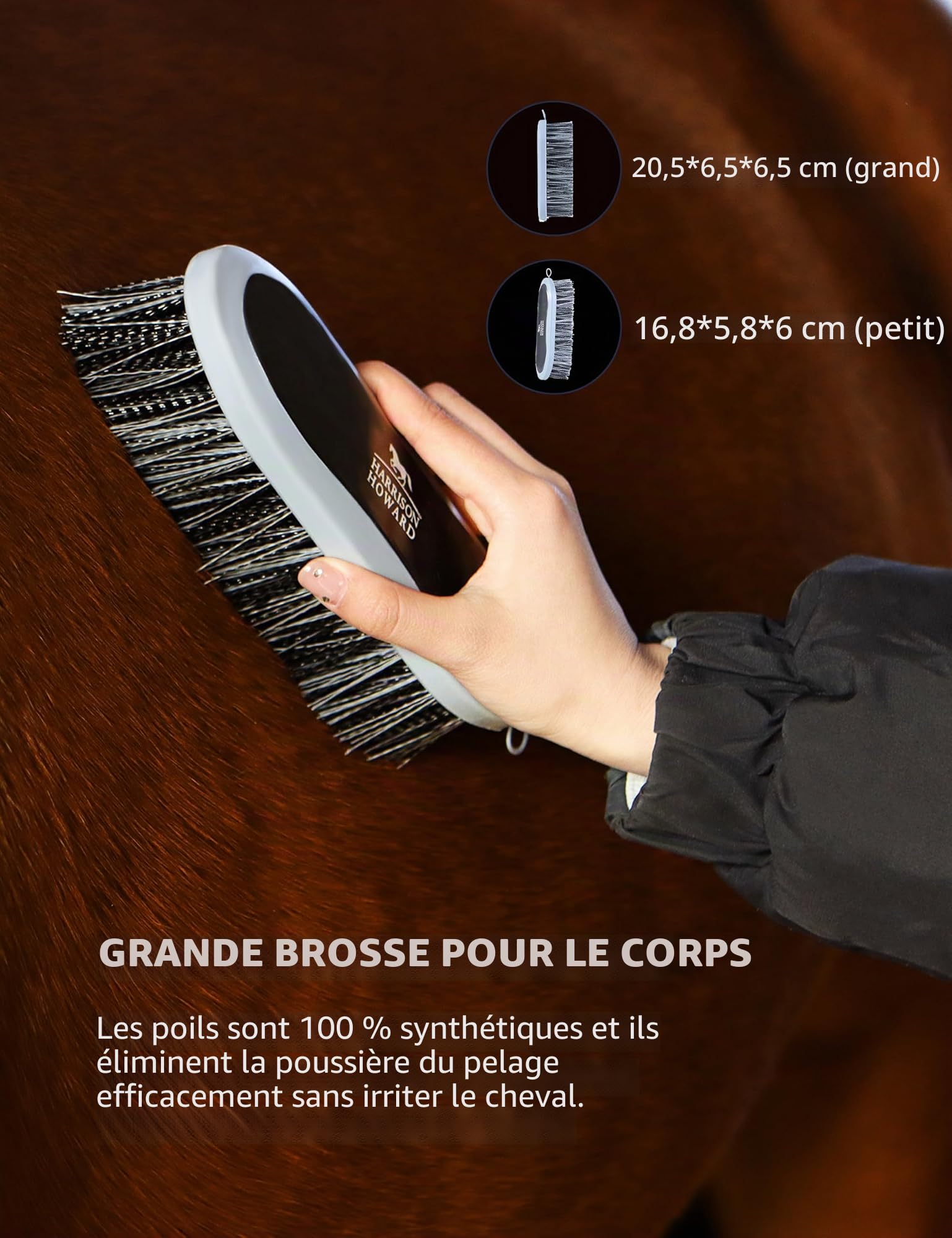 Harrison Howard Kit de toilettage pour chevaux 9 pièces Equine Care Series Ensemble de brosses pour chevaux avec sac fourre-tout organiseur Noir