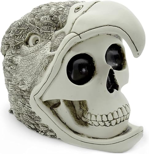 Sofia's Findings Escultura del cráneo del guerrero del águila maya