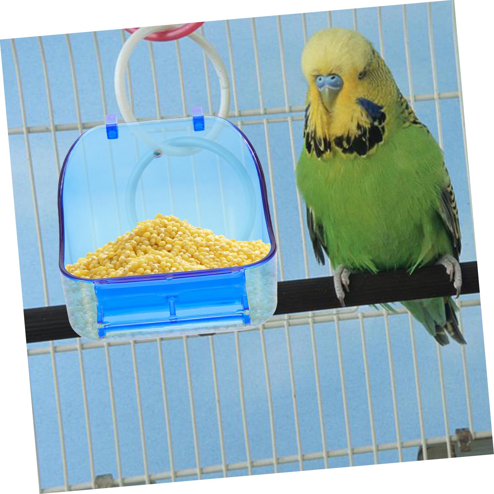 BESPORTBLE 5pezzi Box Per Uccelli Con Vasca Da Bagno Per Pappagalli Accessorio Per Culla Facile Da Installare Materiale Stabile e Sicuro Per Pappagalli e Parrocchetti