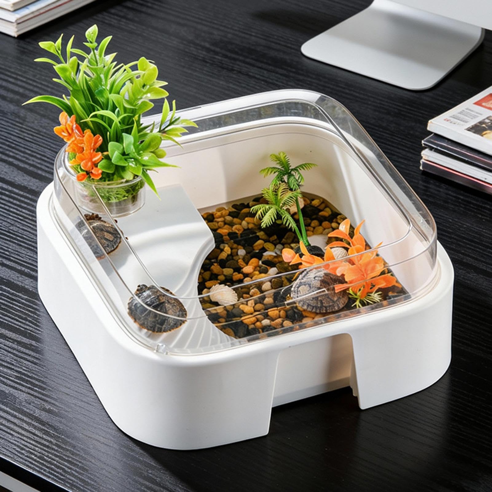 Terrarium Dla Żółwi Antyucieczkowy Terrarium z Oświetleniem | Habitat Dla Krabów Palmowych I Terrarium dla Krabów Palmaowych Żółwi Agam Brodatych Węży i Pająków do Domu i Biura