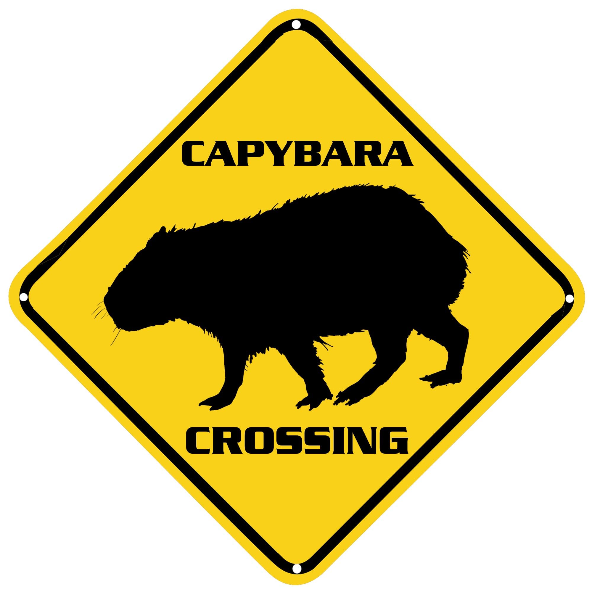 KAPIBARA Capybara Magic Building Block Xinz Funny Capybara Model Toy