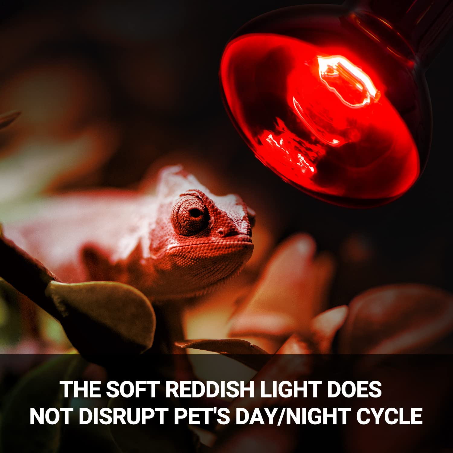 REPTI ZOO 75W Reptile Heat Lamp Bulb 2PCS Infrared Heat Emitter Red Heat Lamp for Reptile Amphibian, Infrared Basking Spot Light Bulb - image 5