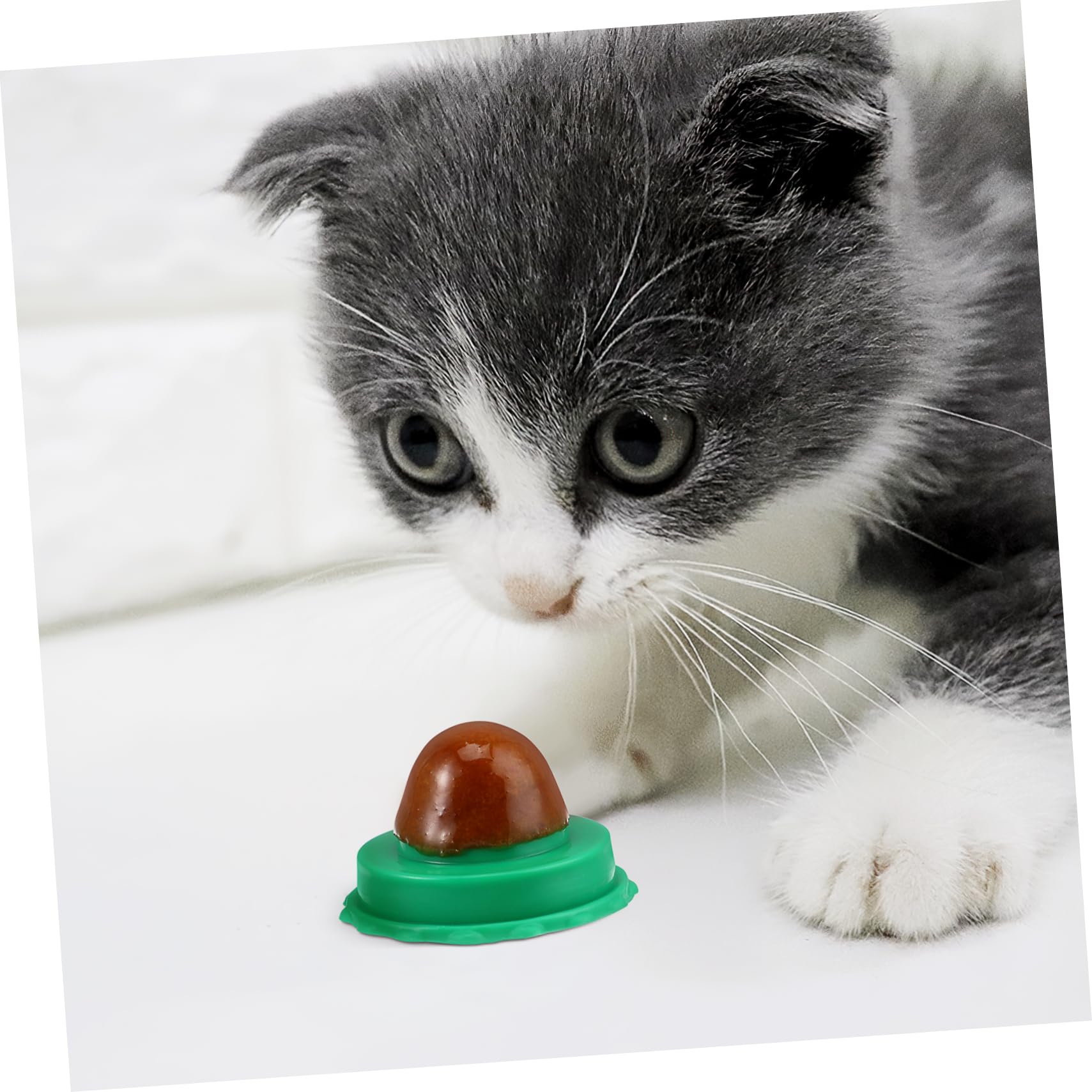 30pezzi Cat Snacks Candy con Catnip Lollipop alla Vitamina e Pesce per Gatti Gusto Casual Nutrienti e Facili da Attaccare al Muro Snack Lickable per Cani e Gatti