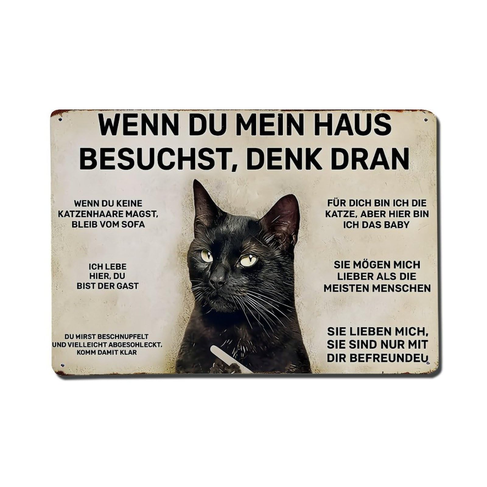 Black Cat Warning Sign Text Metal Tin Sign Plaque