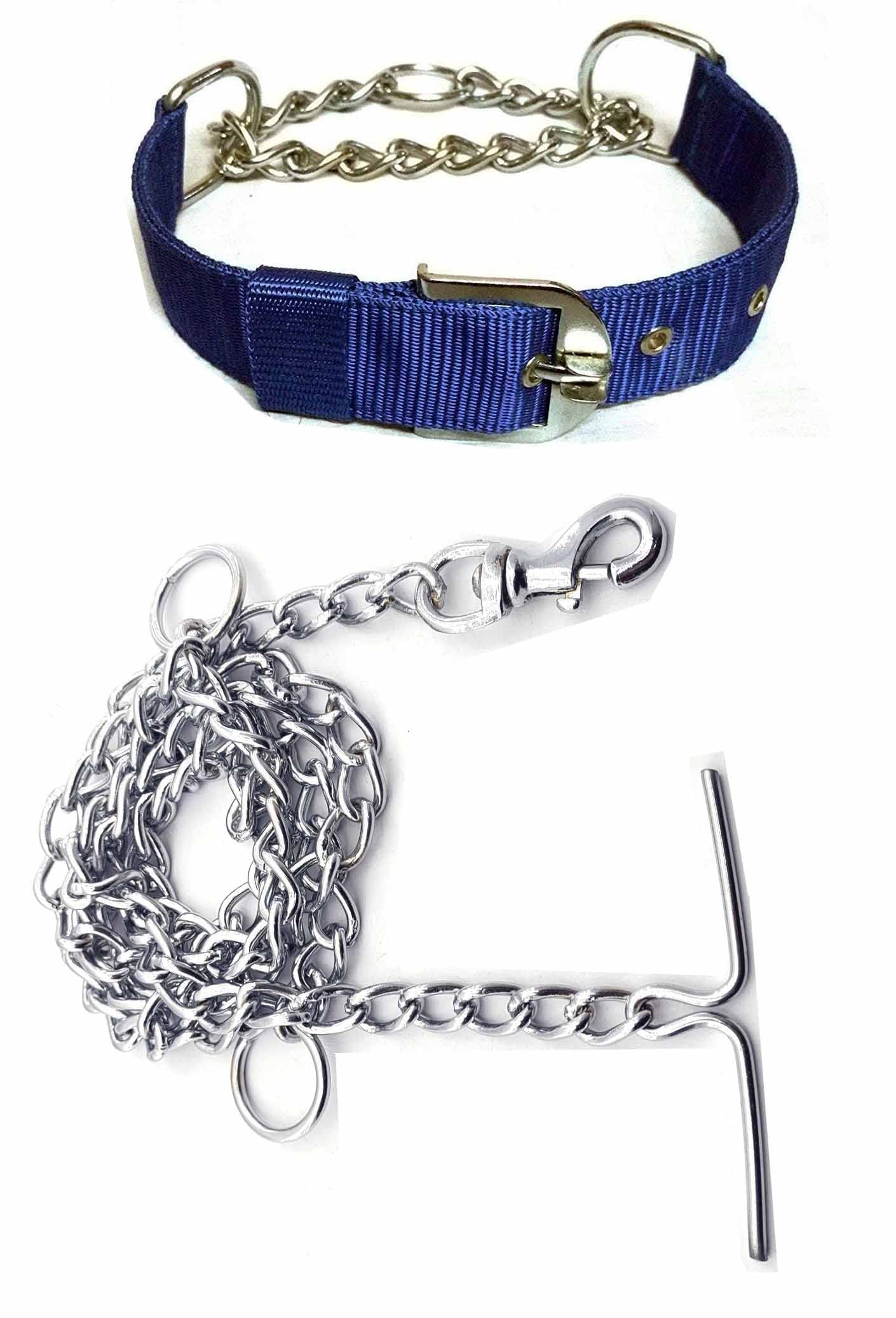 Woofy Pups&Pets Combo of Metal Chain Leash with Choke Collar Safety Metal Chain Gentle Choker Chew Proof Strong Nylon Adjustable Collar (Large Size - 1 Inch and Chain Weight 450 gm, Red, Blue Color) (B0B55582S4) Amazon Price History, Amazon Price Tracker