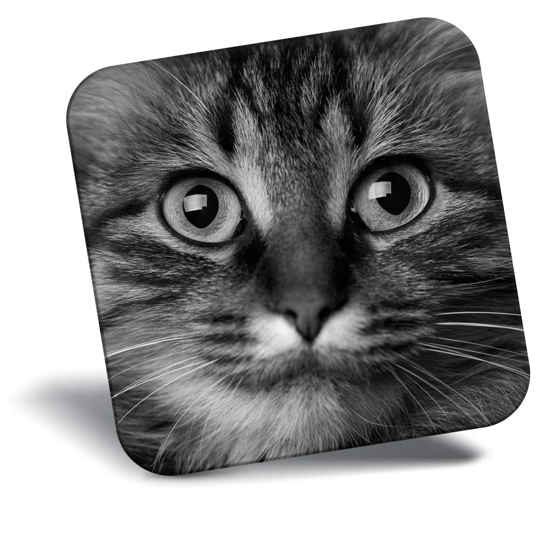 Destination Vinyl Ltd Fridge Magnet Bw - Beautiful Tabby Cat Face #36103