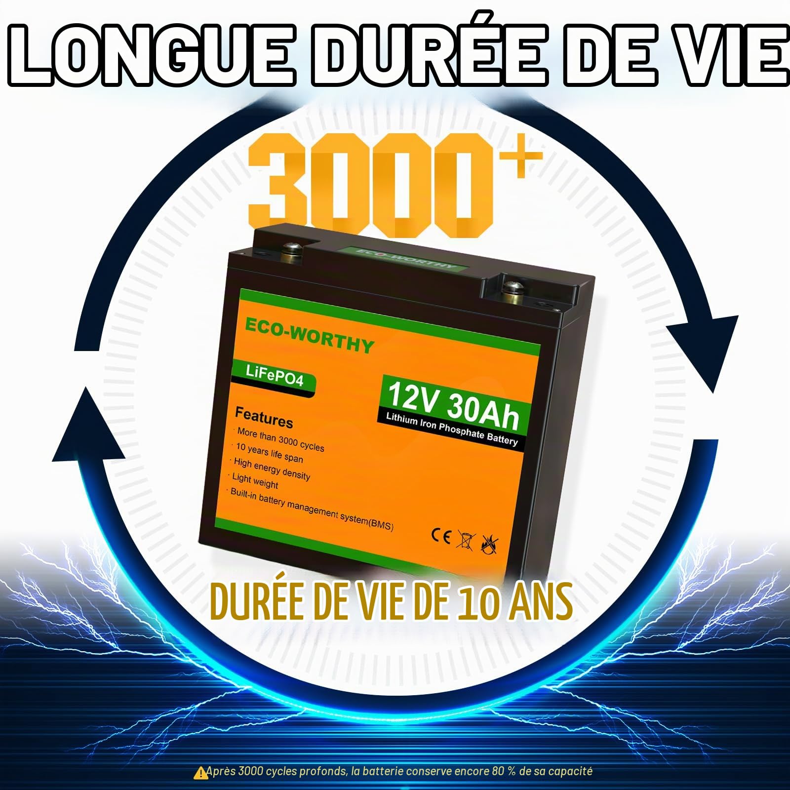 ECO-WORTHY Batterie LiFePO4 12 V 30 Ah