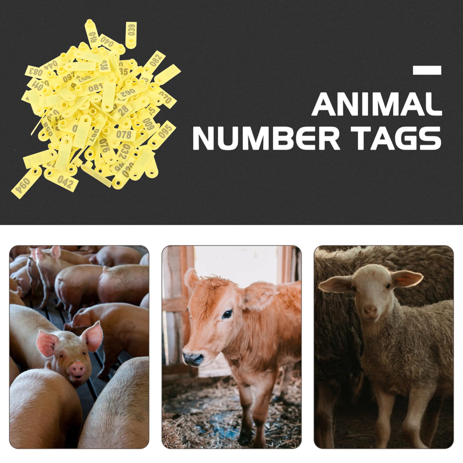 100 Etichette Auricolari Numerate Per Bestiame In PP – Identificazione Per Mucche, Maiali E Pecore, Colori Brillanti E Resistenti