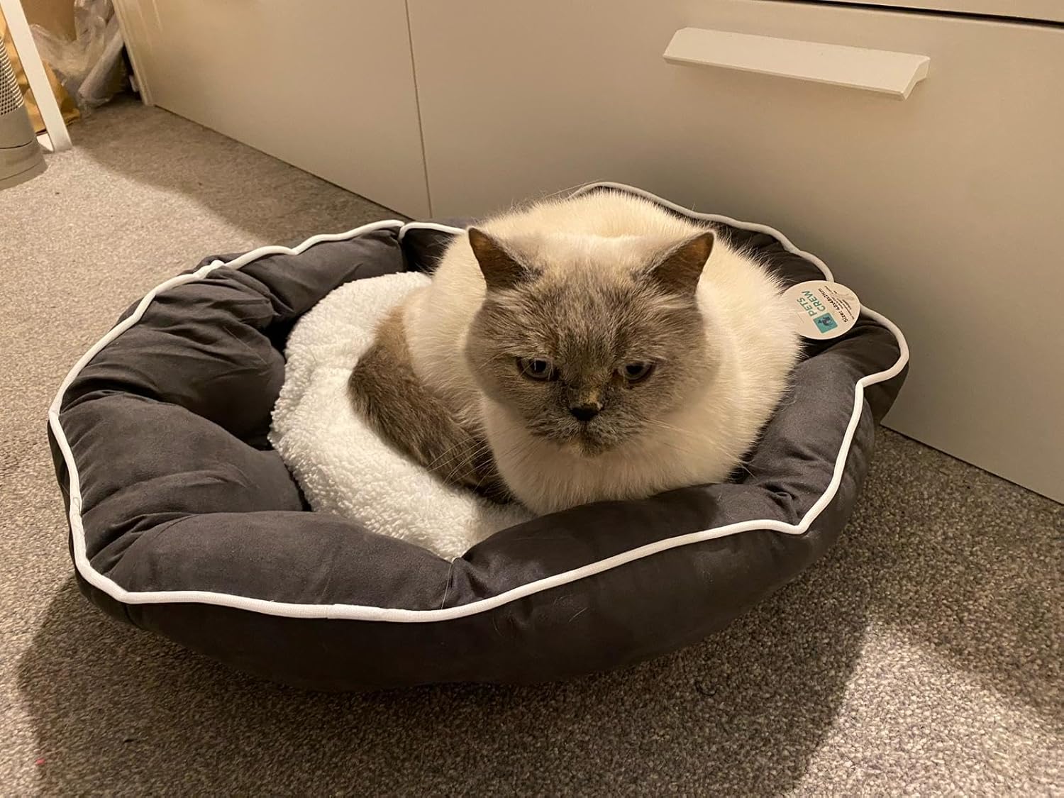 Webeasy Dark Grey Dog Cat Bed Small Pet Sofa Bed, Small Dog Bed Washable, Soft Pet Sleeping Bed for Dogs, Cats, Kittens and Puppies Super Soft and Comfortable Plush Dog Bed with Non-Slip Bottom,S 10 7167e8R2UDL. AC SL1500