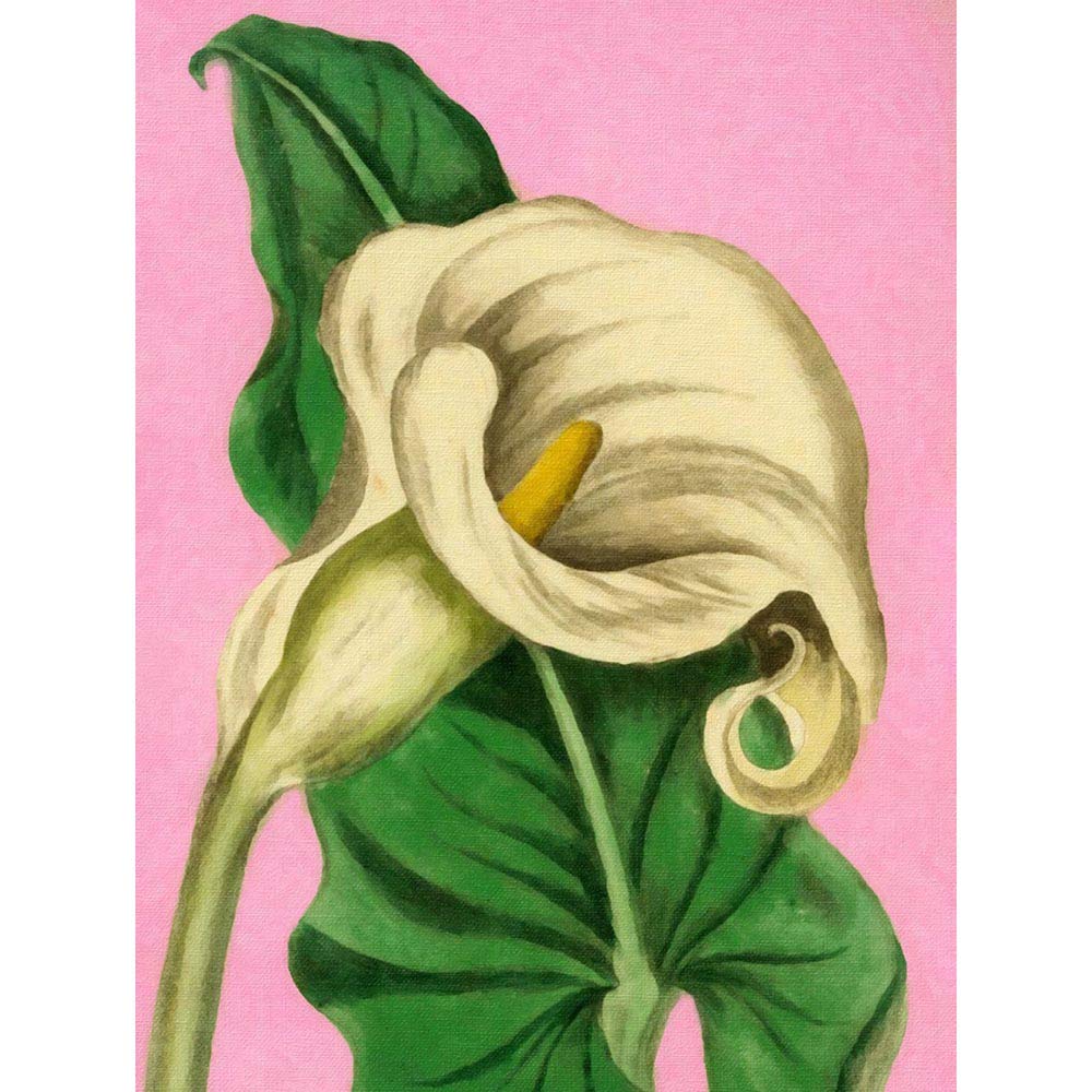 Calla Lily Painting Unframed Wall Art Print Poster Home Decor