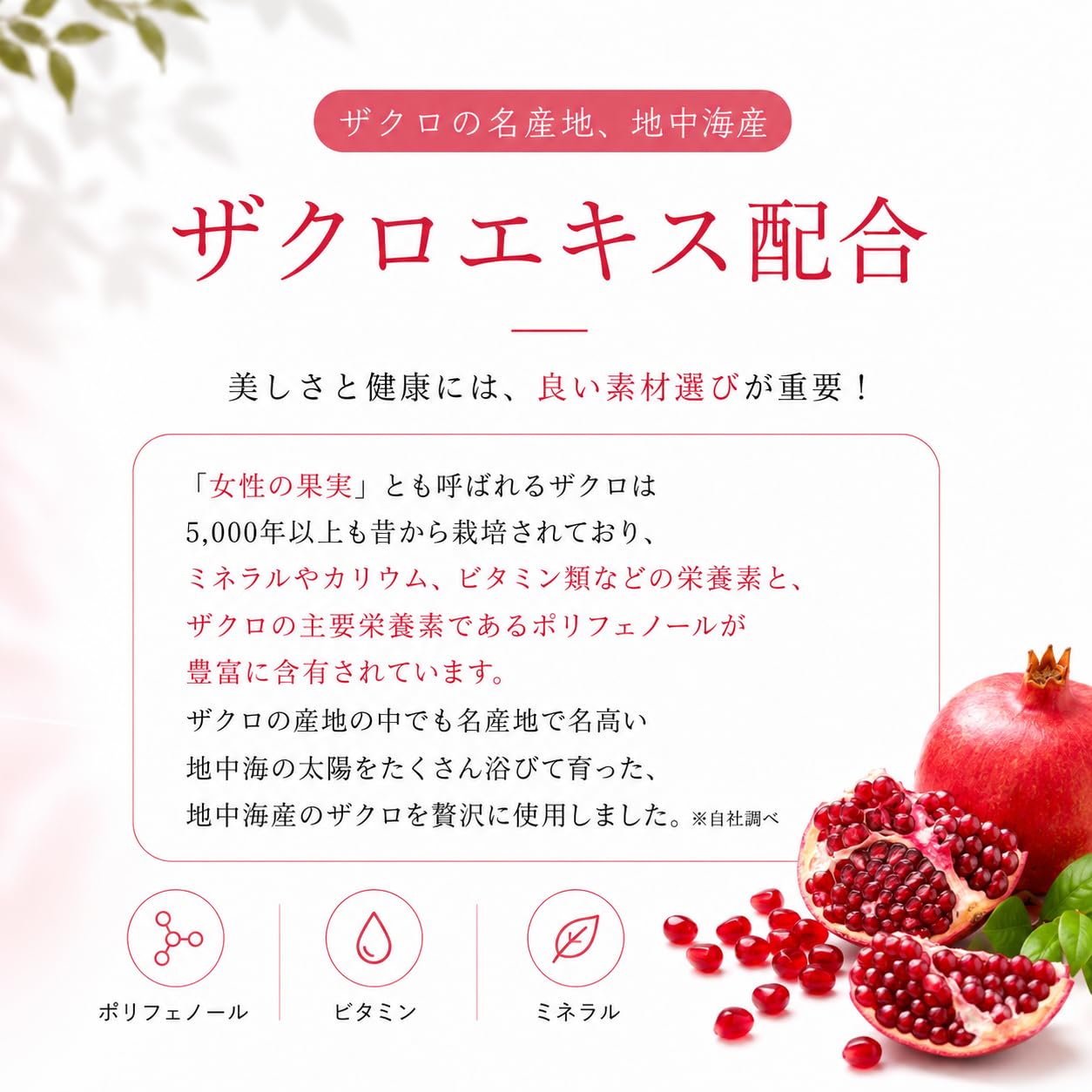 Amazon.co.jp: 正官庄(ジョンガンジャン) ザクロ・紅参 高麗人参