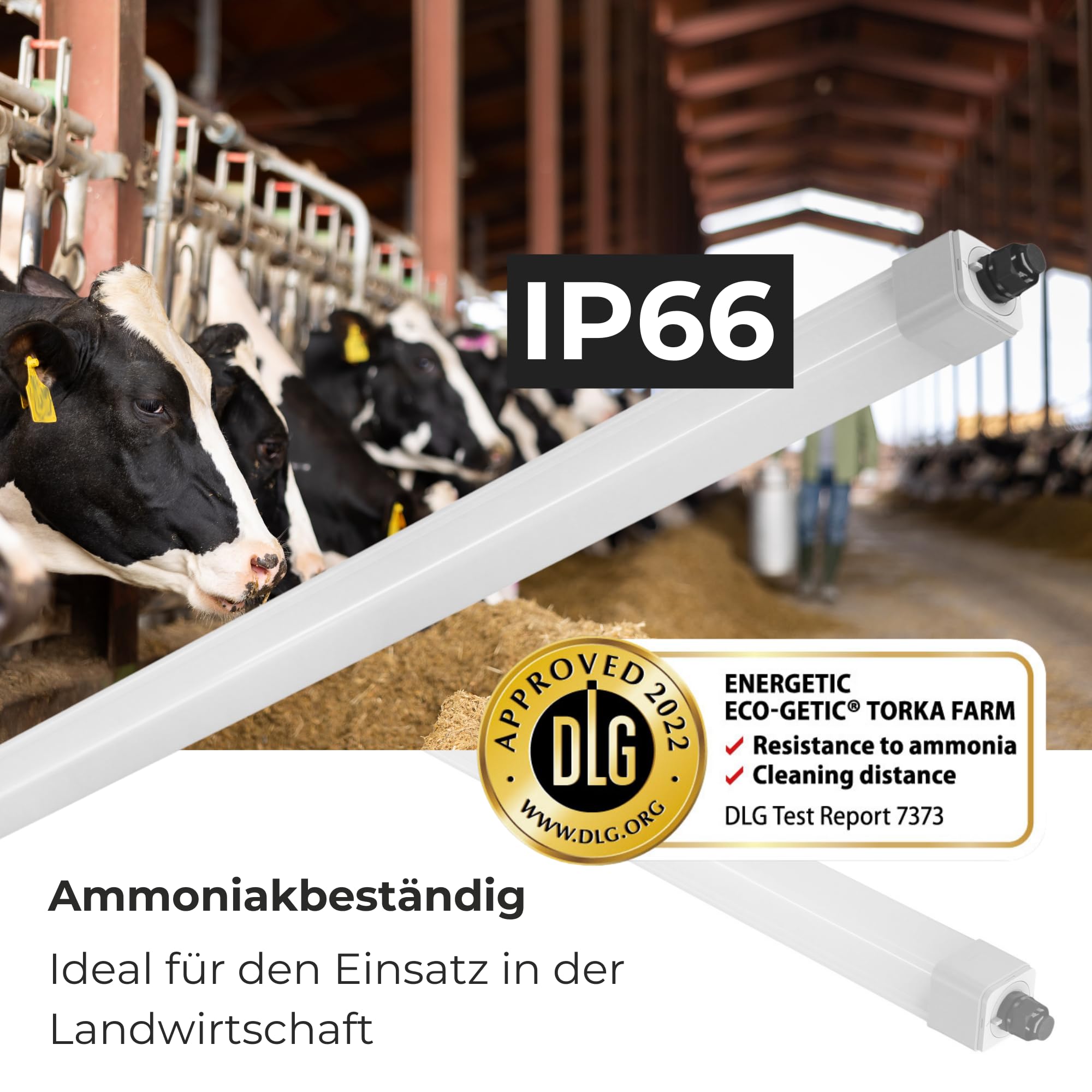 LED Feuchtraumleuchte 120cm 36W 4000K IP66 12er Set 4300lm | DLG anerkannt, Ammoniakbeständig, Agrarleuchte für Stall