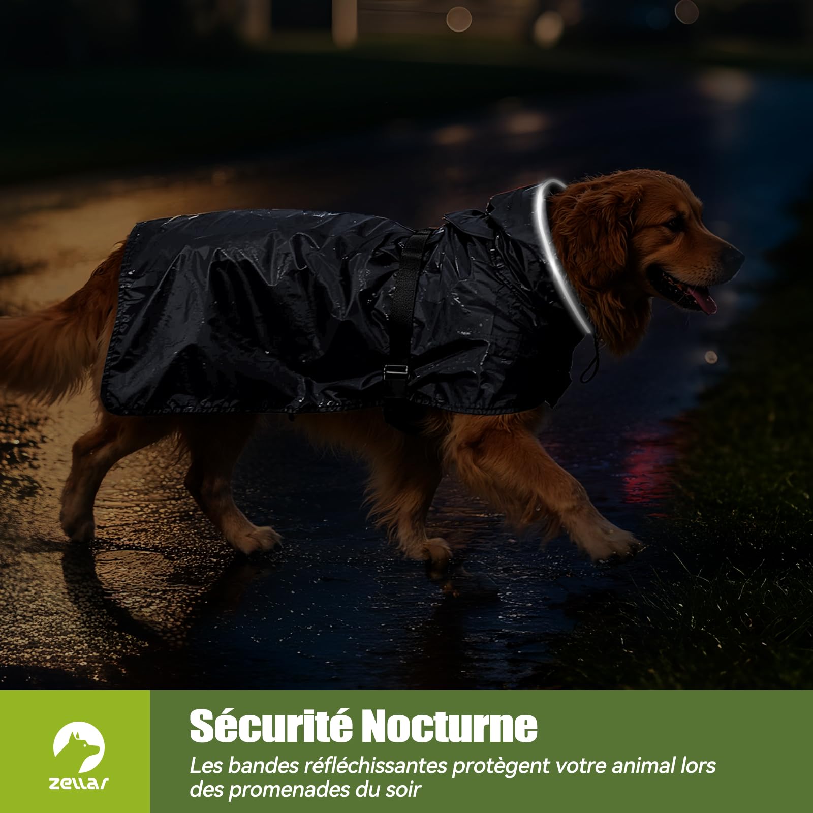Manteau de Pluie Imperméable pour Chien Zellar, Adjustable et Léger avec Bande Réfléchissante & Passage pour la Laisse, Enfilage Facile, Manteau Chien Imperméable pour Chiens Moyens et Grands, M Gris