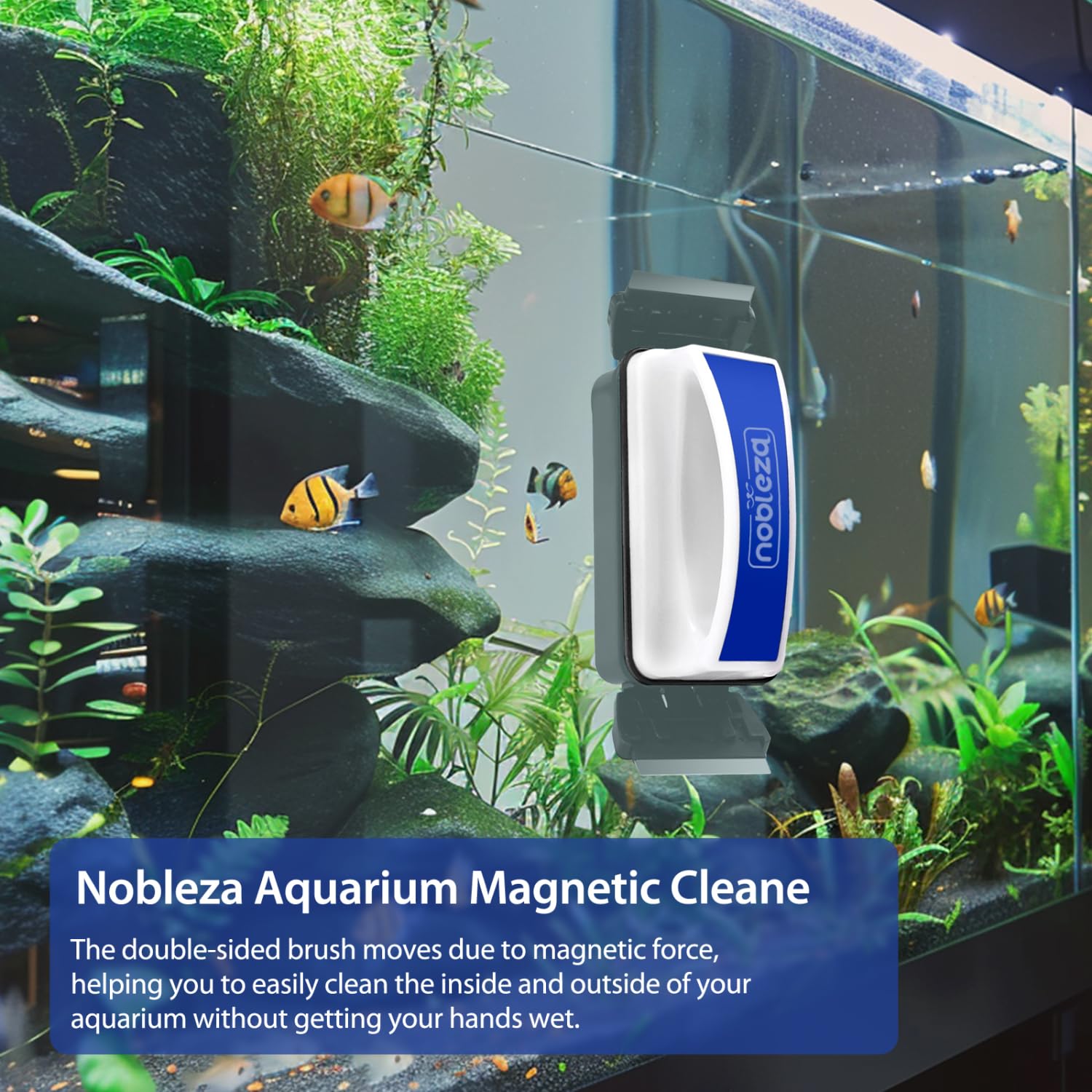 Brosse Magnétique Pour Aquarium, Nettoyeur De Brosse Magnétique, Grattoir à Poussière De Verre Outil De Nettoyage Aquarium 80 36 60mm 94396051