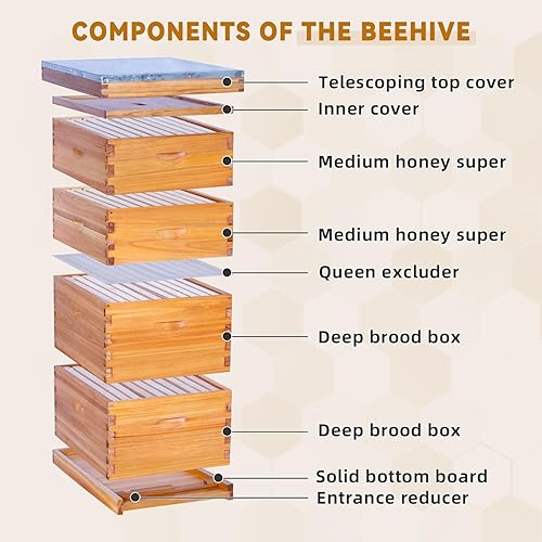 Vista 13 de POLLIBEE Colmena de abejas de 10 marcos, kit de colmena recubierta de cera de abeja para el cuidador de abejas, colmena completa incluye 1 caja