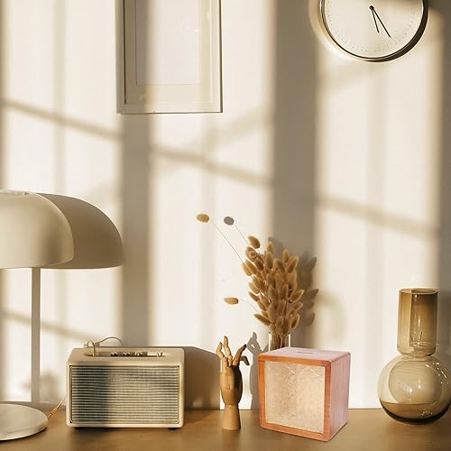 Miniatura 4 de Zerodeko Caja de sombra de alcancía de madera, caja de dinero, caja de ahorro de dinero, macetas de ahorro de monedas para niños y niñas