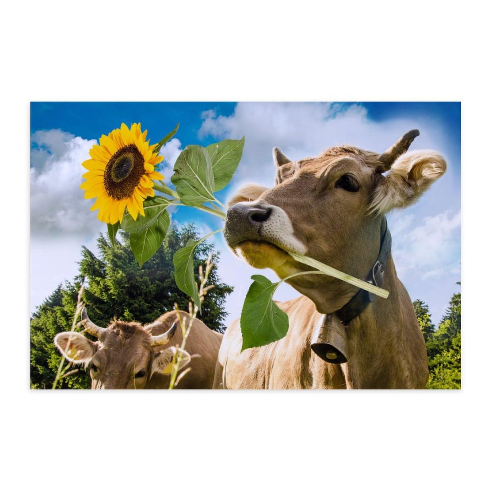 Sunflower Brown Cow Fashion Poster Letters Self Adhesive Wall Art Prints Durable and Waterproof Home Decor 40 * 60?cm?