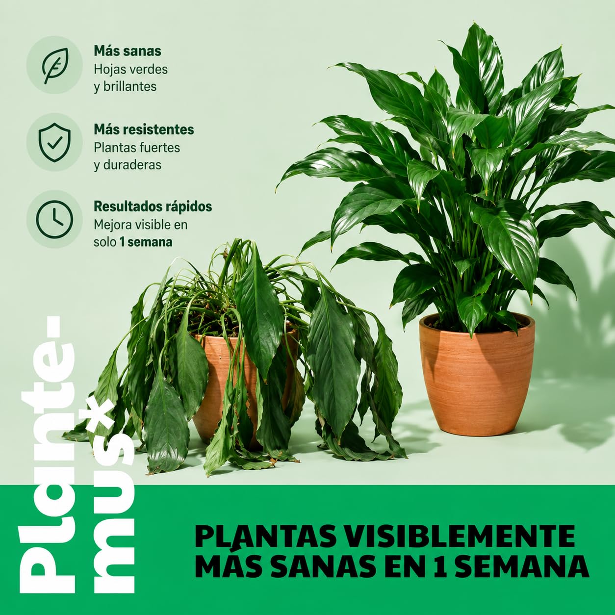 PLANTEMUS Fertilizante Plantas Verdes Universal Líquido, Bonsai, Cactus, Suculentas para Interior y Exterior. Abono Calidad Profesional 1 L