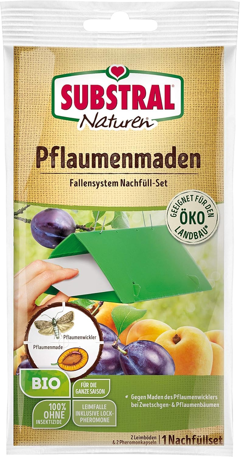 Evergreen Germany July Deal
