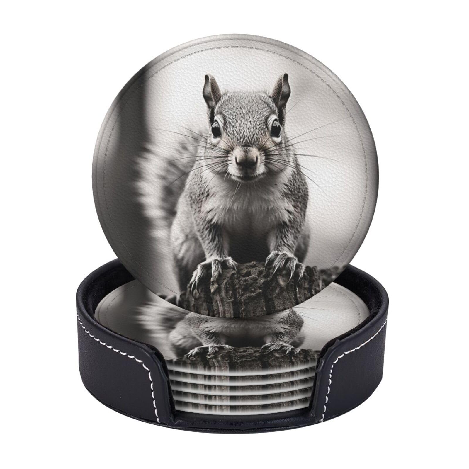 Drink Coasters 6 PCS Round Leather Coaster Light Gray Squirrel Coasters for Drinks Non-Slip Mugs Pads with Holder Personalized Cups Pad Mat for Coffee Table Kitchen 10 CM