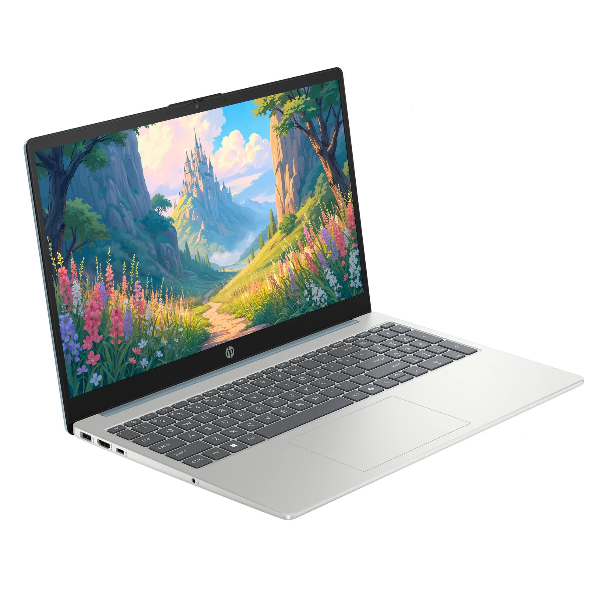 Amazon.com: HP 15.6