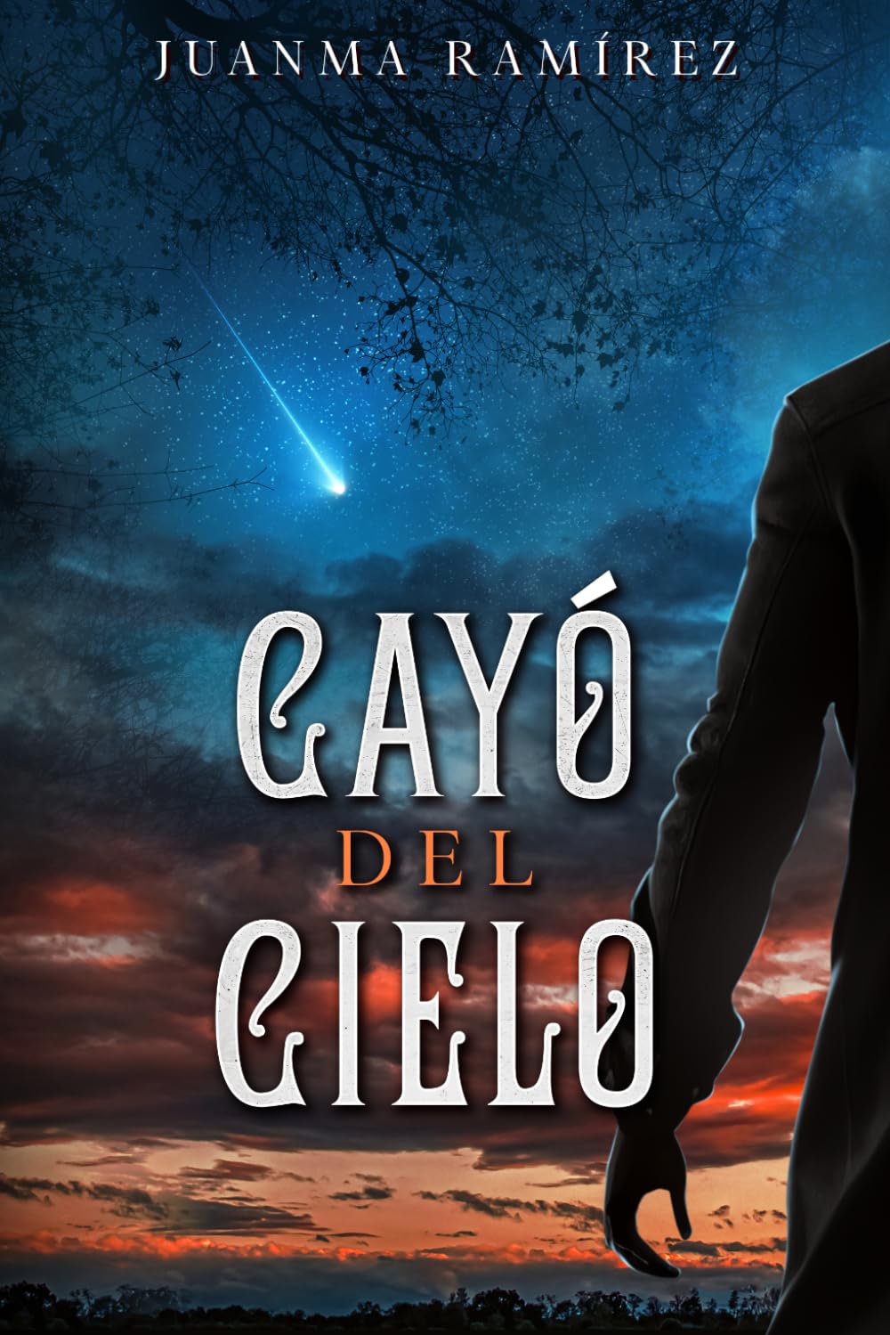 Cayó del cielo