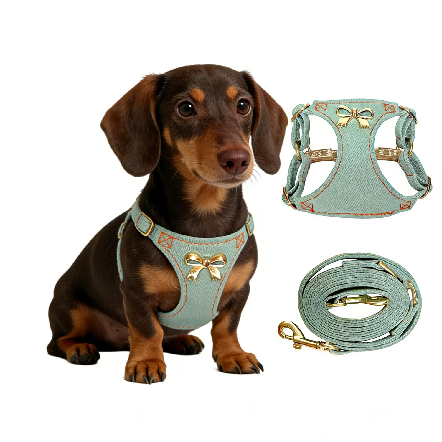 No Pull Dog Harness and Leash Set for Small Sized Dog Training Puppy Harnesses with Multifunction Dog Leash, Soft Adjustable Denim No Choke Escape Proof Pet Harness for Small and Medium Dog (Teal XXS)
