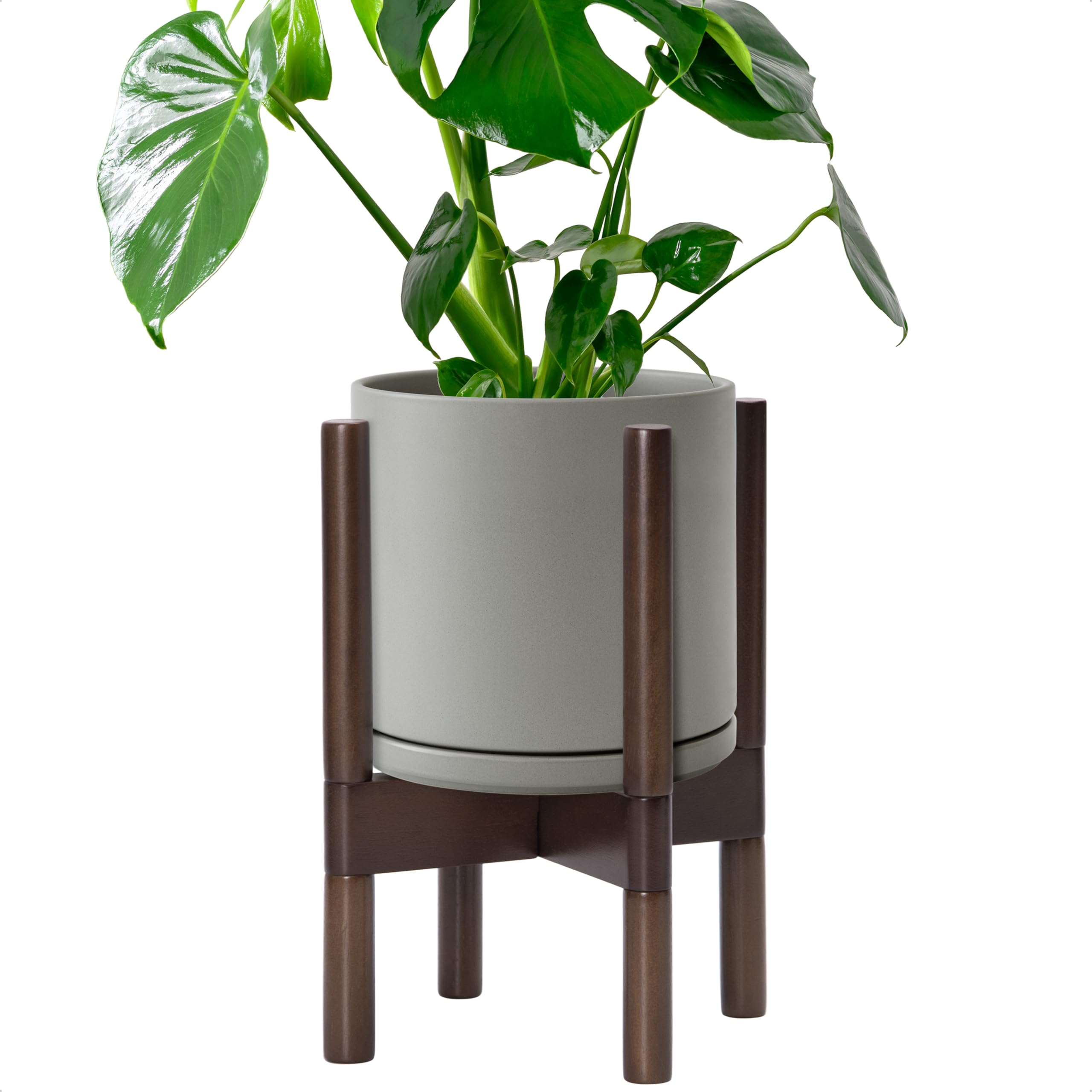 D'vine Dev 8 Ceramic Planter with Walnut Stand