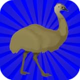 easy game play Match the emu