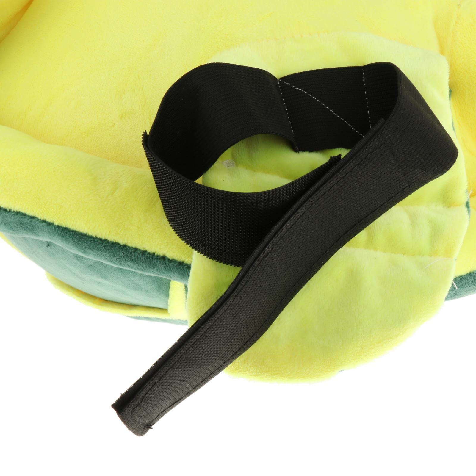 DWD BOGART スノーボード 亀のデザイン Amazon | Dinosaurs Will Die Bogart スノーボード 149 | Dinosaurs