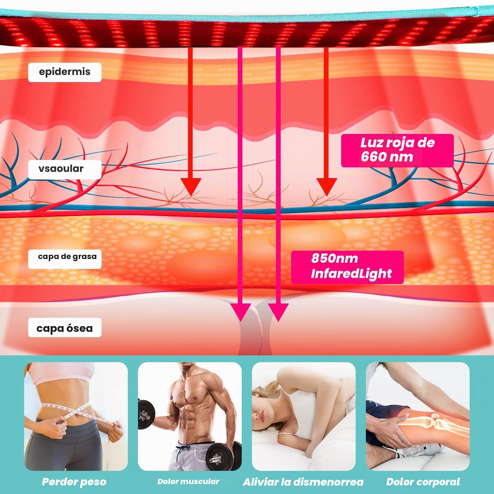 I-THERA-U Lámpara de Calor Infrarrojo con Cinturón - Terapia de Luz Roja para el Cuerpo 3-En-1 Chips 660nm&850nm, lampara infrarrojos fisioterapia con Temporizador Relaja los Músculos, Alivia el Dolor