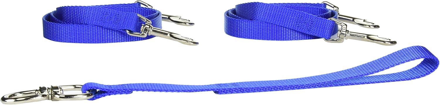 Pet Leash for Dog, Medium, Blue