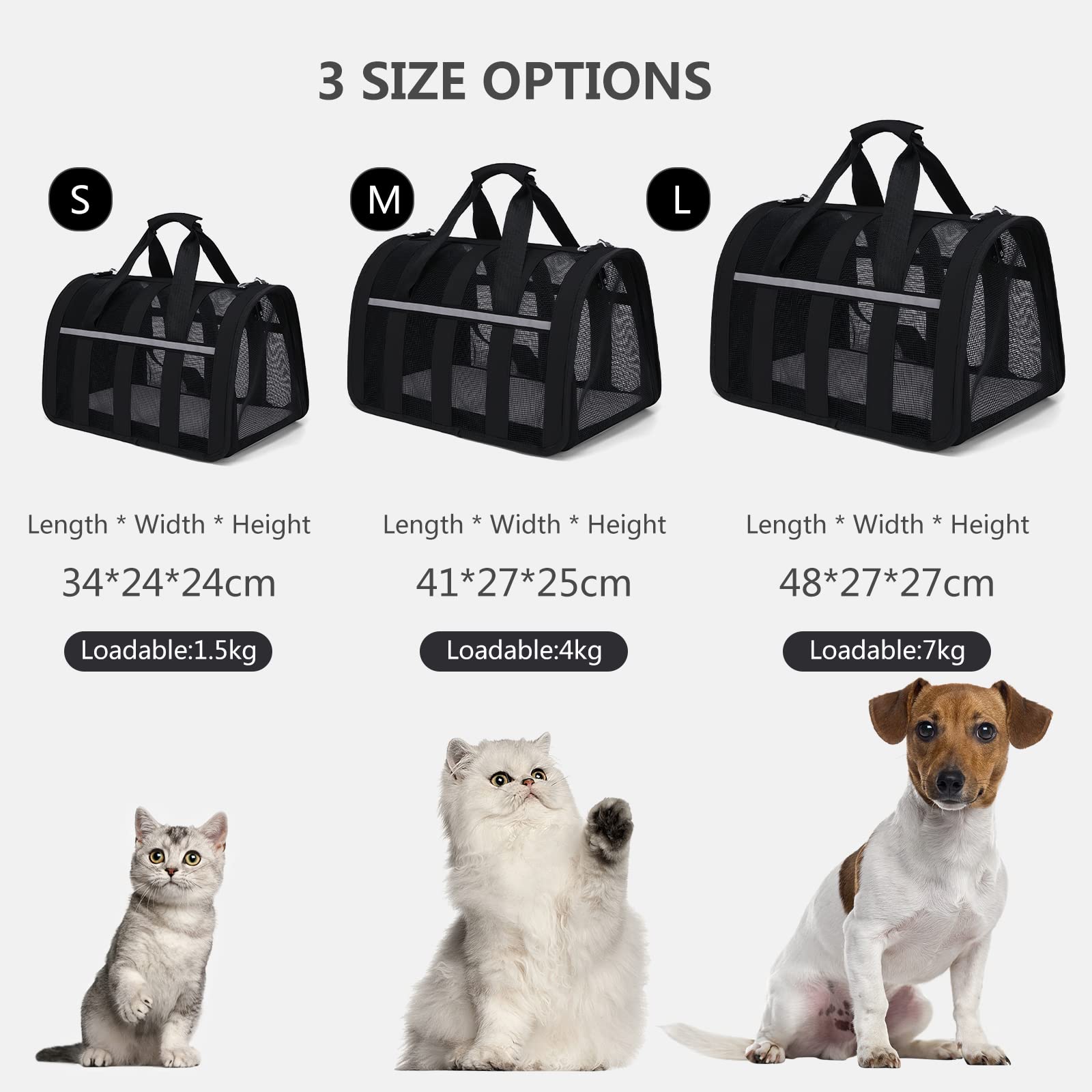 PETCUTE Transportín Gato Perro Transpirable,Bolsa de Transporte Plegable para Mascota con Colchón Suave y Hebilla de Seguridad,Transportín para Gatos con Bolsillos para Coche, Avión,Viaje