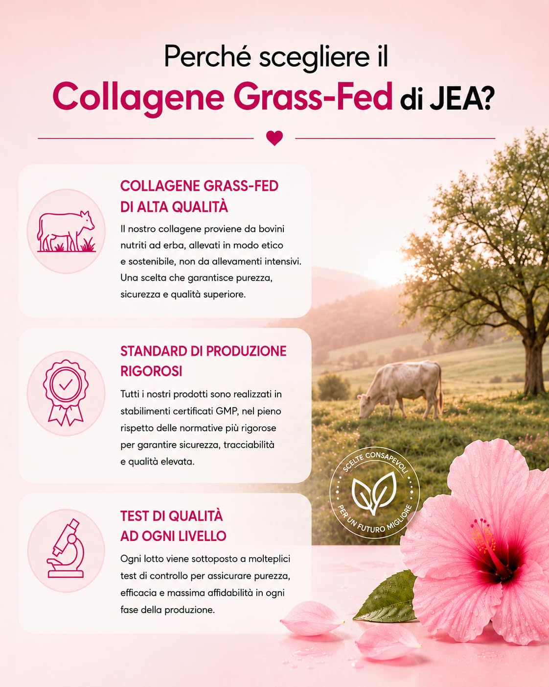 JEA Collageny Pro Collagene Idrolizzato Grass Fed in Polvere con 2 Brevetti Esclusivi Hyasource Vita-Mini® Acido Ialuronico e Ribocare® Nucleotidi, Senza Zuccheri Aggiunti