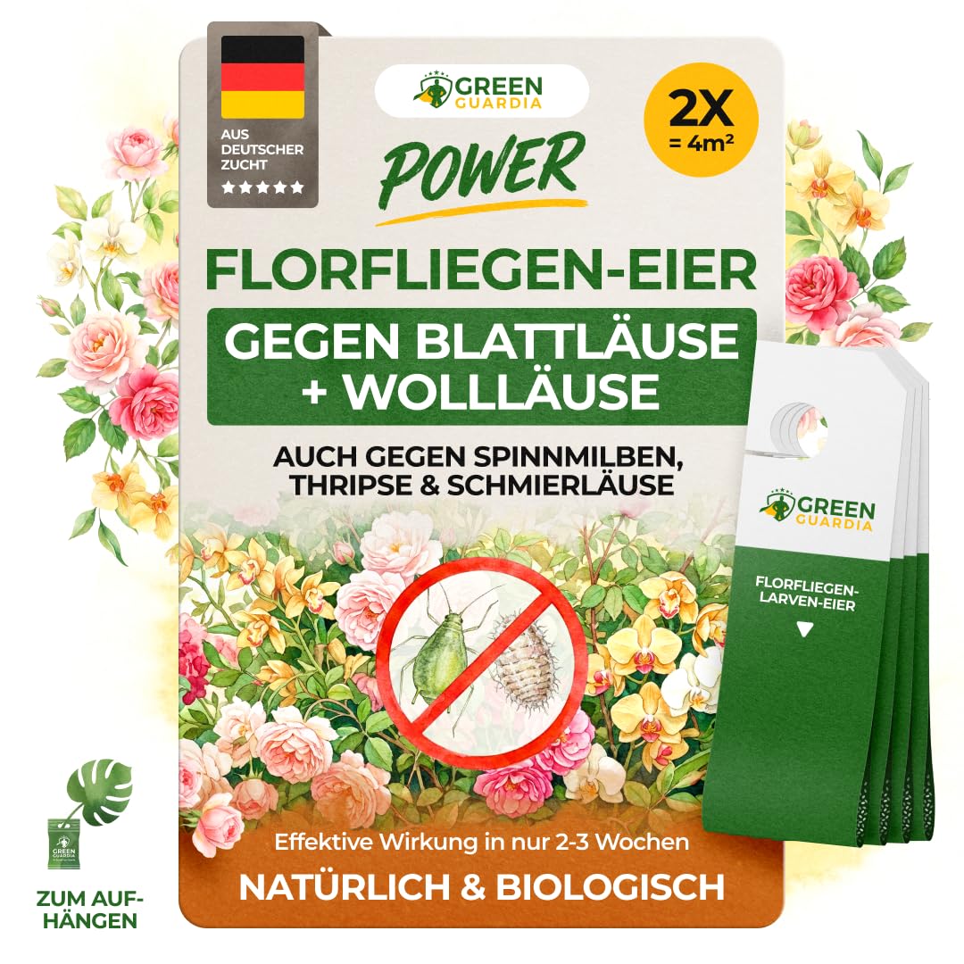 GREEN GUARDIA Power Florfliegenlarven-Eier gegen Blattläuse, Spinnmilben, Thripse & Co. - 2x Karten zum einfachen Aufhängen - starke Wirkung bei Gemüse-, Cannab.- & Zierpflanzen