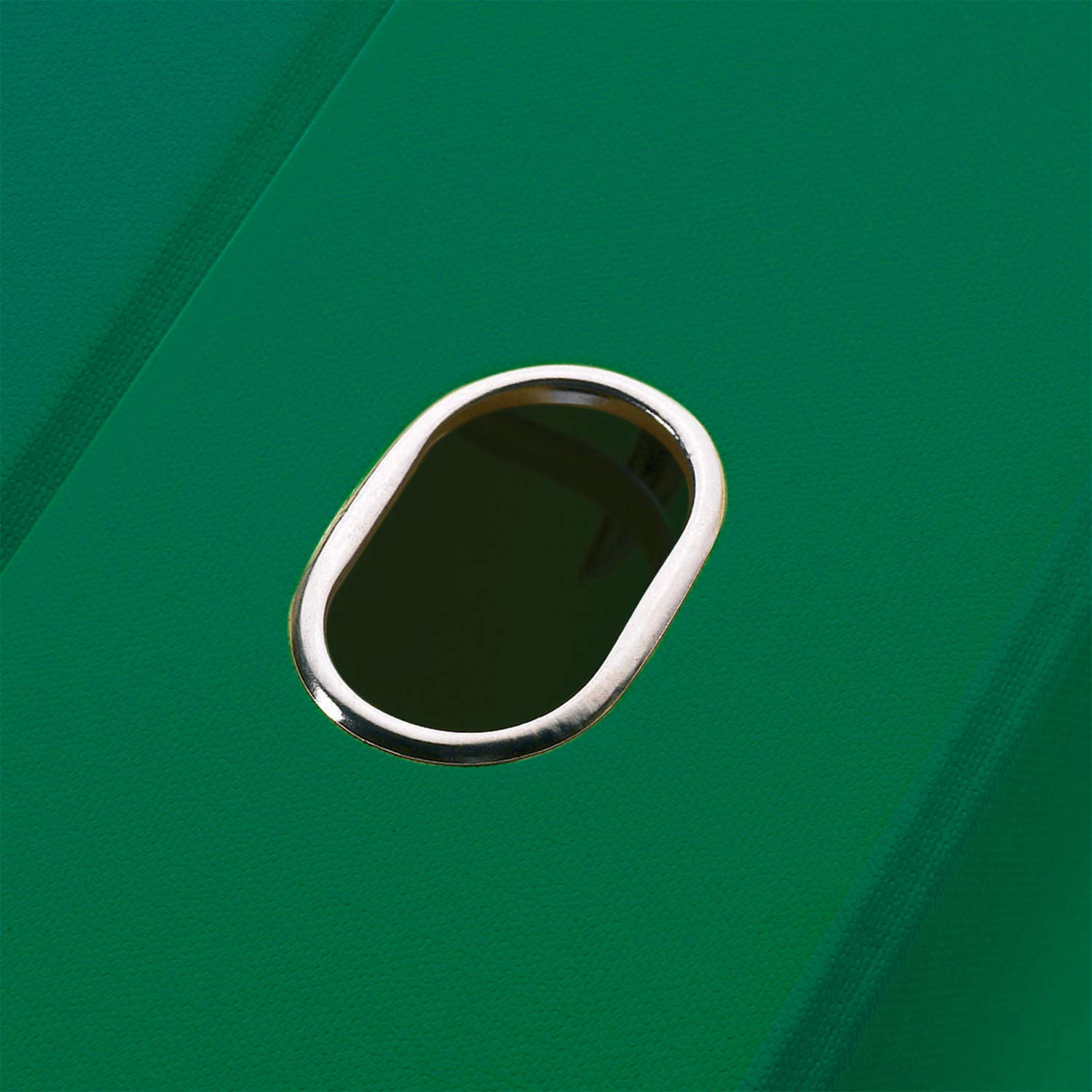 Favorit Raccoglitore Documenti Unico con custodia, Pacco da 12, formato interno 23 x 33 cm, dorso 5 cm, verde