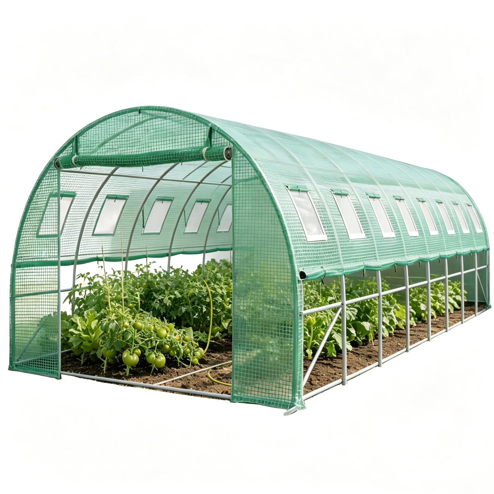 Gewächshaus 3x8x2m(24 m²), Groß Foliengewächshaus mit verzinktem Stahlrahmen, Folientunnel Tomatenhaus Treibhaus mit 16 Fenstern Frostwächter Winterfest Stabil für Garten Balkon, Grün