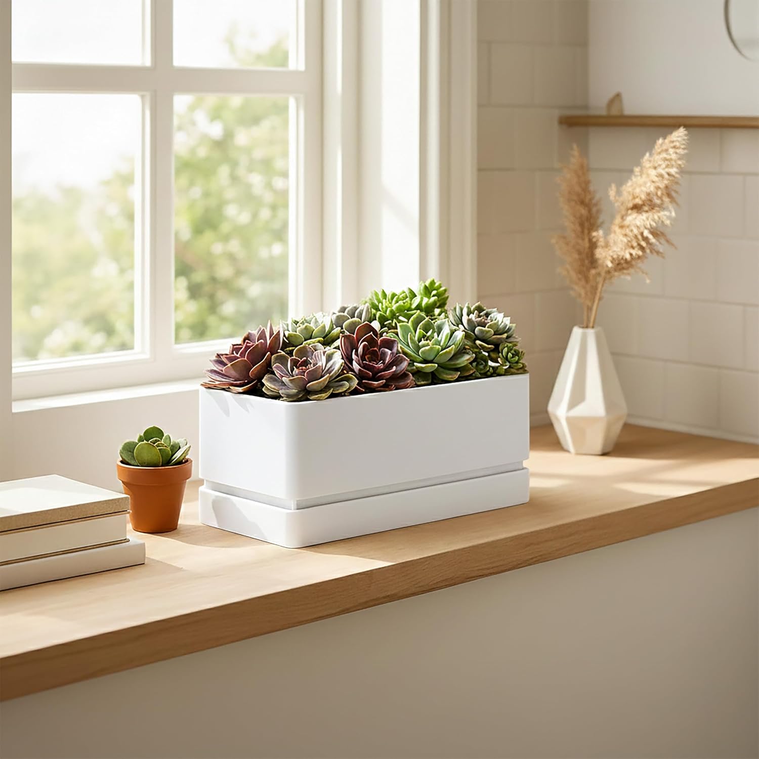 D'vine Dev 12" x 6.5" Window Box Planter, Rectangular Plastic Herb Planter with Drainage Holes & Saucer, Succulent, Cactus & Vegetable Pot for Windowsills/Balconies, White, Set of 2, 76-P-A-2
