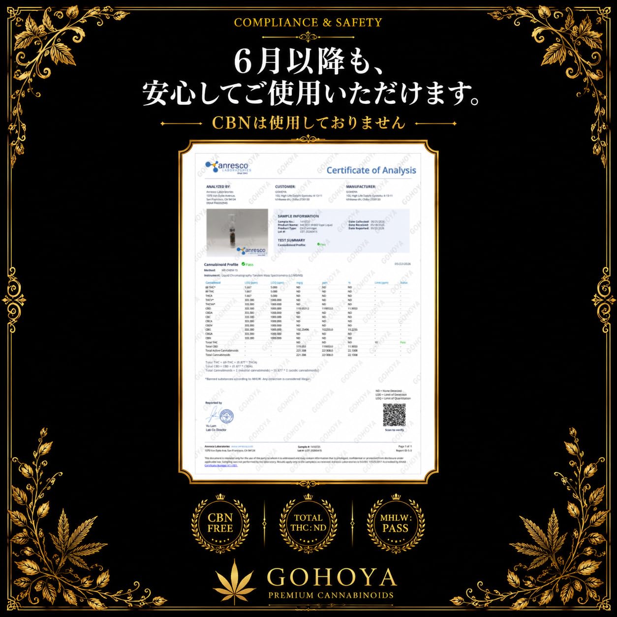 Amazon.co.jp: GOHOYA H4CBH HHBD Liquid 0.04 fl oz (1 ml) 510