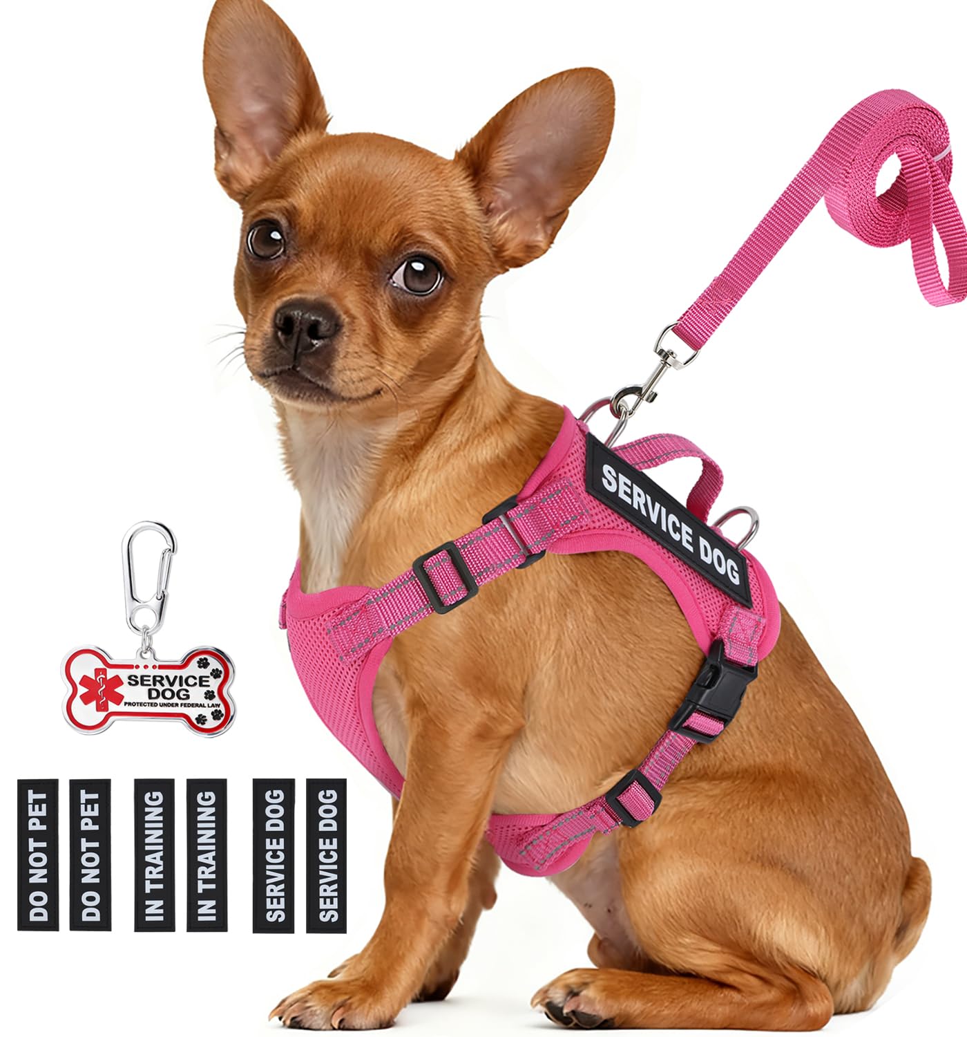 Gilet per cani di piccola taglia con targhetta identificativa, set di pettorina e guinzaglio leggero per cuccioli con 6 toppe per cani, gilet per animali di servizio ideale per l'addestramento